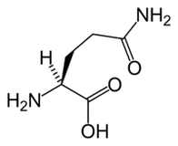 L-glutaminas Keto Diet